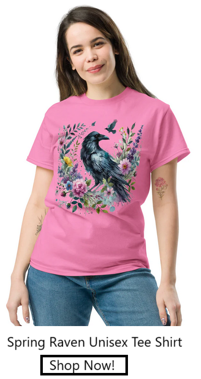 RavensDesignShop.com